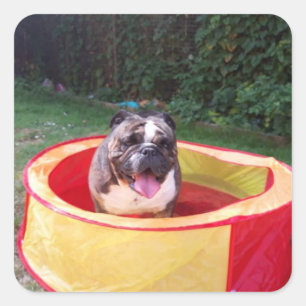 Pegatina Cuadrada Amar al verano