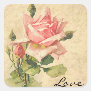 Pegatina Cuadrada Amar la vintage Shabby Chic Rosa Flor Pegatinas