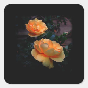 Pegatina Cuadrada Amarillo profundo - Rosas Naranjas, en negro.Perso