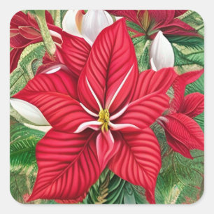 Pegatina Cuadrada Amaryllis Poinsettia Hybrid AI Art