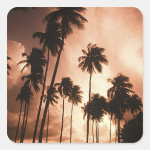 Pegatina Cuadrada Ambergris Caye, Belice, Centroamérica.2