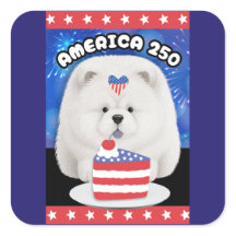 AMÉRICA 250 - CHOW DE CREMAT