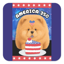 AMÉRICA 250  Chow Rojo