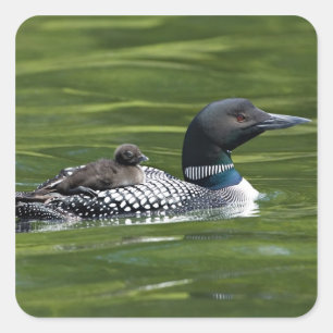 Pegatina Cuadrada América del Norte, Canadá, Columbia Británica, Lac