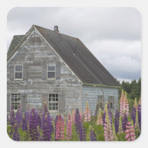 Pegatina Cuadrada América del Norte, Canadá, Isla del Príncipe Ed