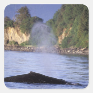 Pegatina Cuadrada América del Norte, EE.UU., Alaska, Paso interno.