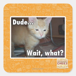 Pegatina Cuadrada Amigo