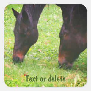 Pegatina Cuadrada Amigos de caballo con una mancha personalizada