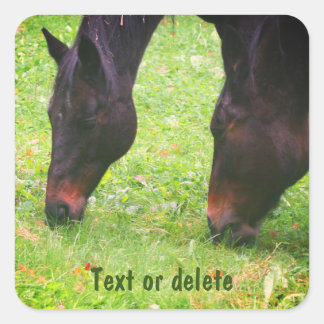 Pegatina Cuadrada Amigos de caballo con una mancha personalizada