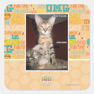 Pegatina Cuadrada Amigos del idiota