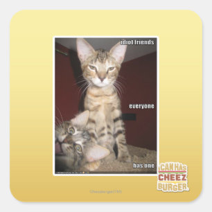 Pegatina Cuadrada Amigos del idiota