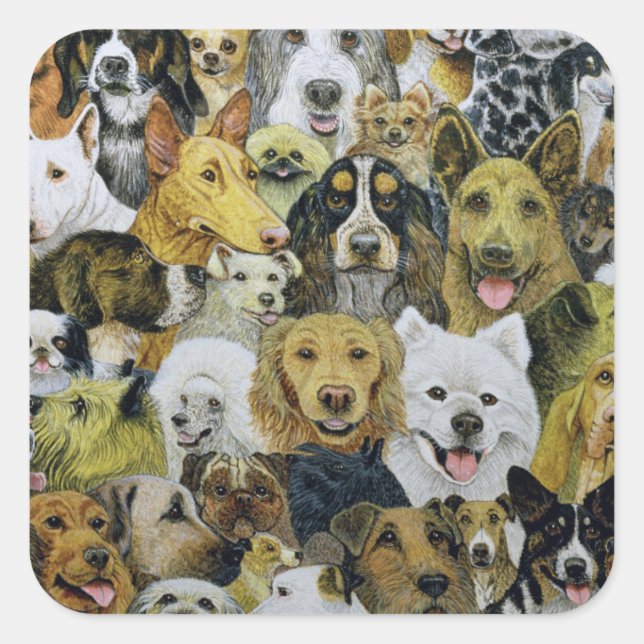 Pegatina Cuadrada Amigos del perro (Anverso)