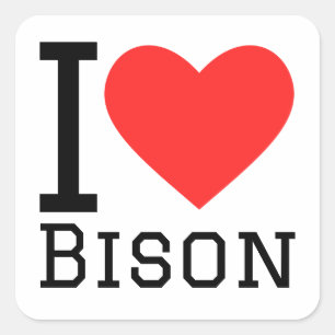 Pegatina Cuadrada Amo a bison