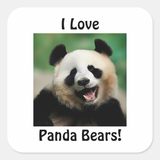 Pegatina Cuadrada Amo a los osos panda (Anverso)