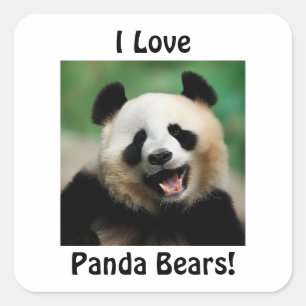 Pegatina Cuadrada Amo a los osos panda