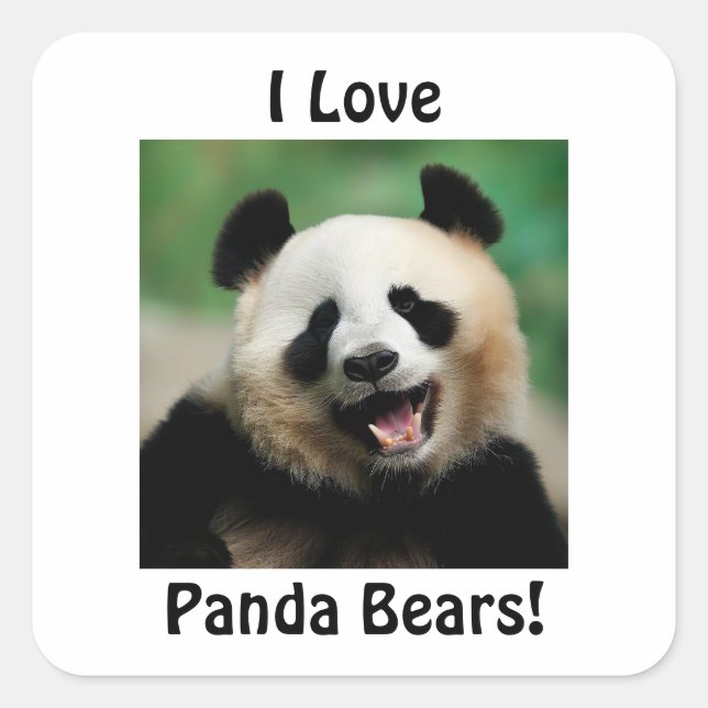Pegatina Cuadrada Amo a los osos panda (Anverso)
