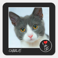 Amo a mi gato, foto Personalizado - Amantes de la 