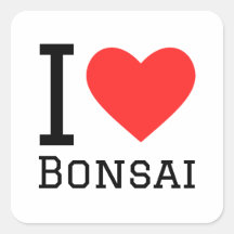 Amo bonsai
