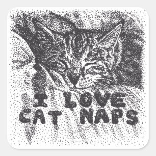 Pegatina Cuadrada Amo las siestas de gato, gato durmiendo