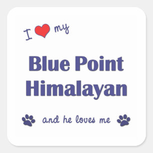 Pegatina Cuadrada Amo Mi Punto Azul Himalaya (Gato Masculino)
