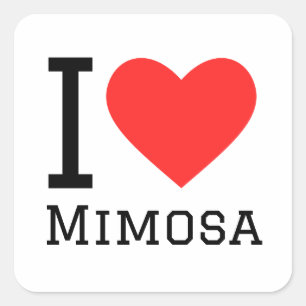 Pegatina Cuadrada Amo mimosa