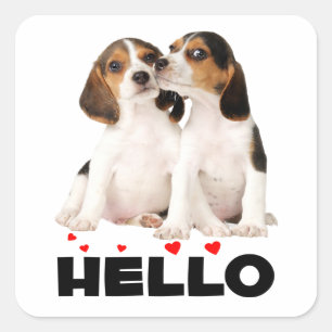 Pegatina Cuadrada Amor de Cachorro Beagle Adorable Hola Pensando en