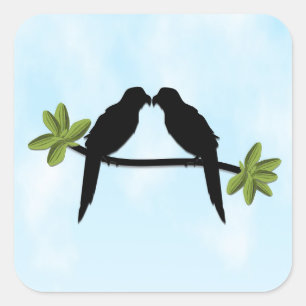 Pegatina Cuadrada Amor loro
