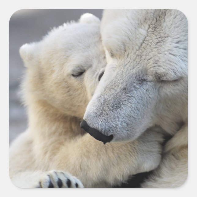 Pegatina Cuadrada Amor maternal (Anverso)