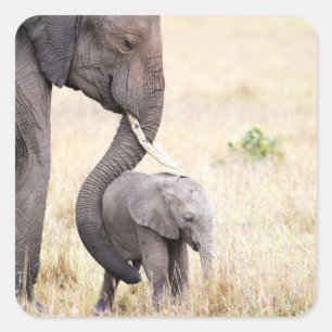 Pegatina Cuadrada Amor maternal