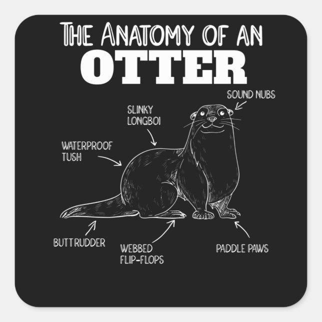 Pegatina Cuadrada Anatomía De Explicación De Otter Cute De Un Otter (Anverso)