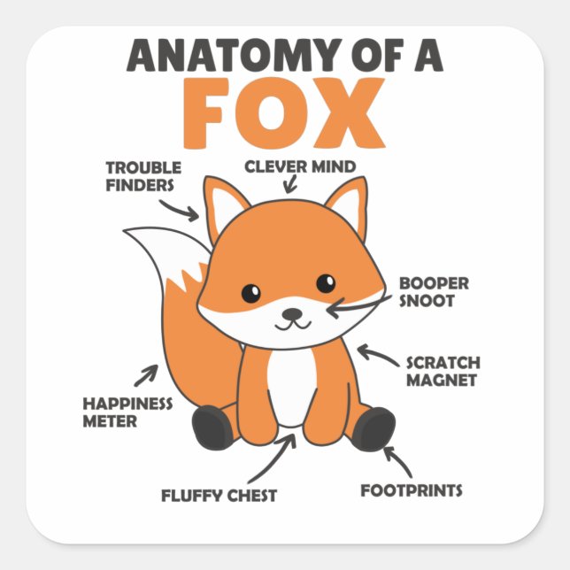 Pegatina Cuadrada Anatomía De La Explicación De Fox Dulce (Anverso)
