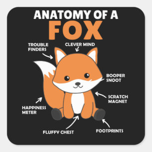 Pegatina Cuadrada Anatomía De La Explicación De Fox Dulce