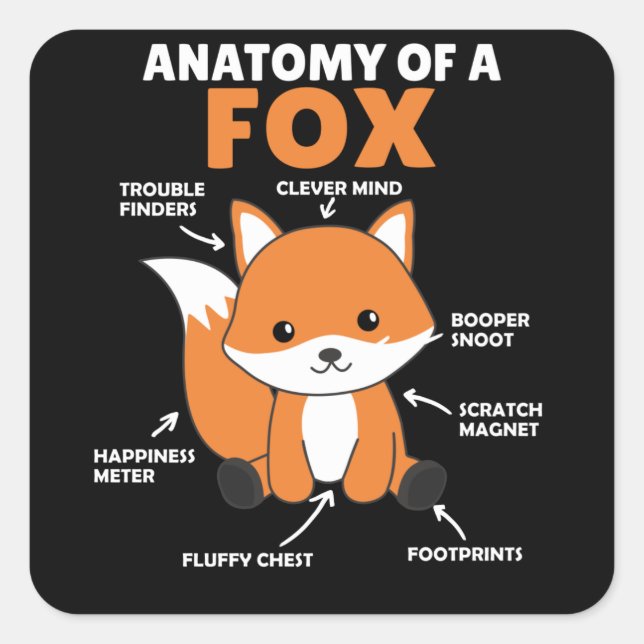 Pegatina Cuadrada Anatomía De La Explicación De Fox Dulce (Anverso)