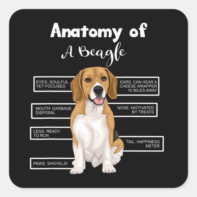 Pegatina Cuadrada Anatomía De Un Beagle Gracioso Perro Amantes Regal (Anverso)