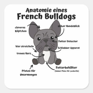 Pegatina Cuadrada Anatomía De Un Bulldog Francés Perro Gracioso Cach