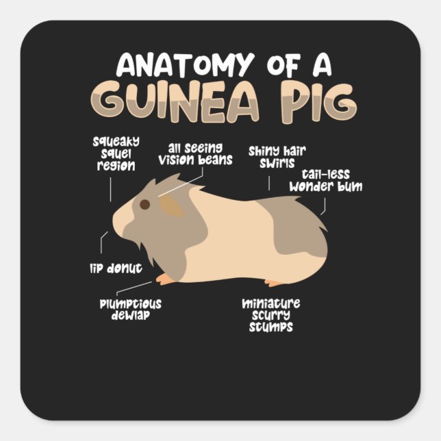Pegatina Cuadrada Anatomía de un cerdo guineano (Anverso)