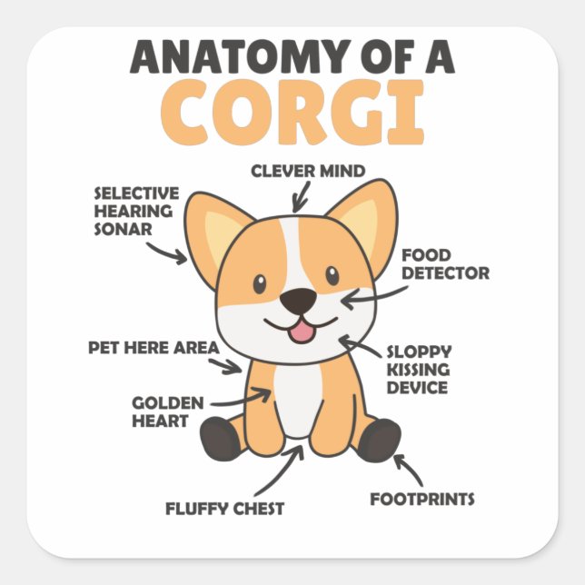 Pegatina Cuadrada Anatomía De Un Corgi Cute Perros Gracioso Cachorro (Anverso)