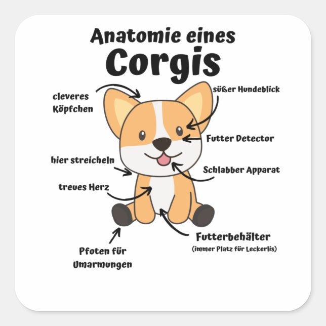 Pegatina Cuadrada Anatomía De Un Corgi Cute Perros Gracioso Cachorro (Anverso)