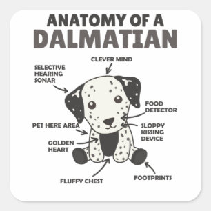 Pegatina Cuadrada Anatomía De Un Dalmatiano Dulce Perros Gracioso Ca