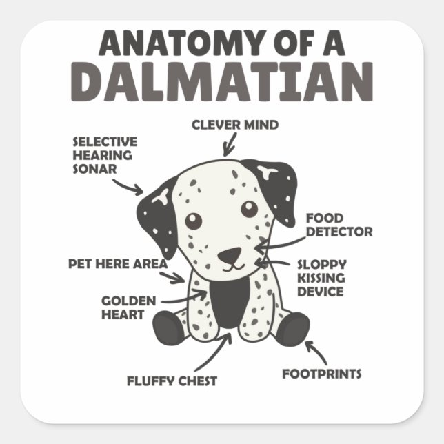 Pegatina Cuadrada Anatomía De Un Dalmatiano Dulce Perros Gracioso Ca (Anverso)