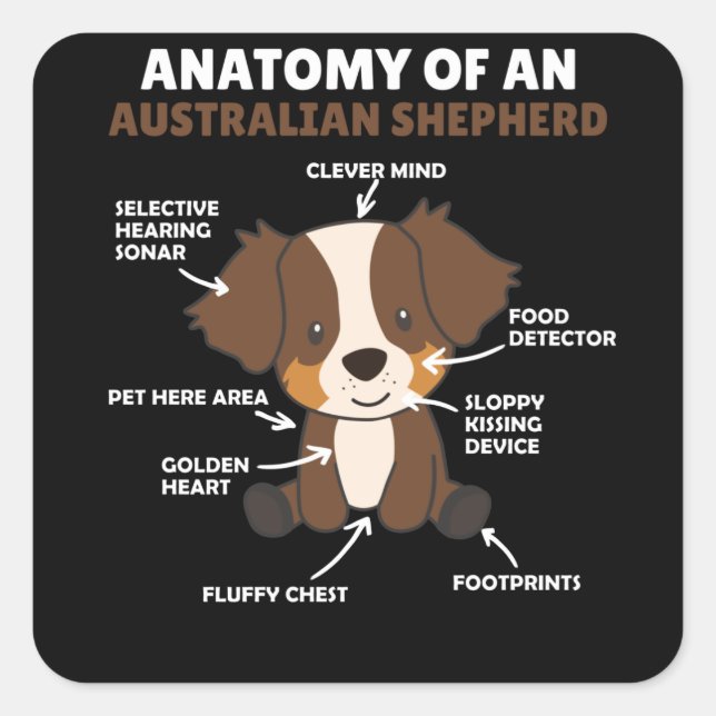Pegatina Cuadrada Anatomía De Un Pastor Australiano Dulce Perros (Anverso)