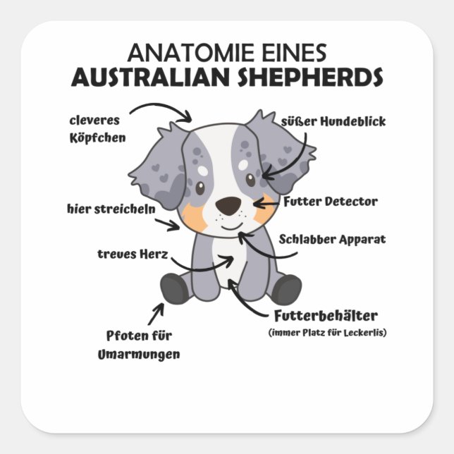 Pegatina Cuadrada Anatomía De Un Pastor Australiano Dulce Perros (Anverso)