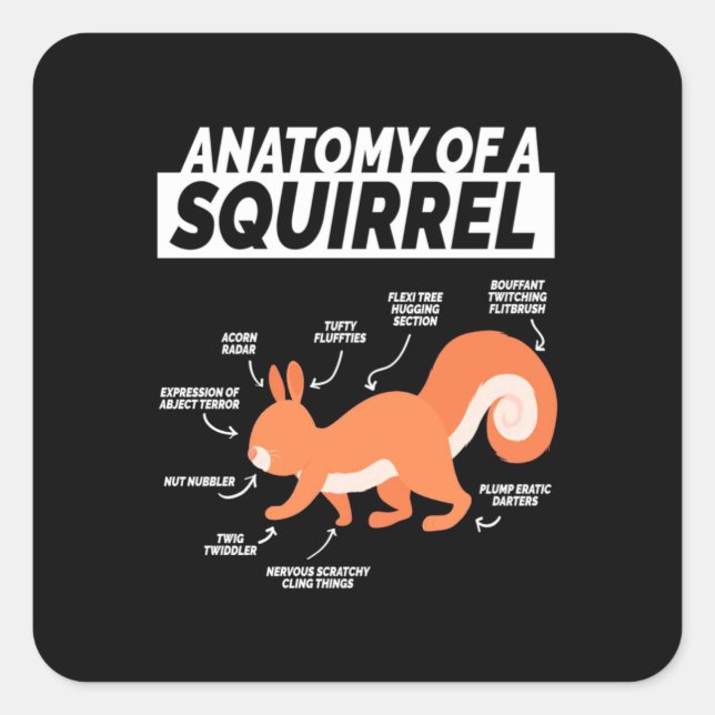 Pegatina Cuadrada Anatomía De Una Ardilla (Anverso)