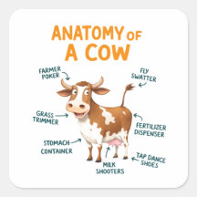 Anatomía de una Vaca | Día del Médico Divertido