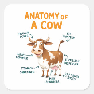 Pegatina Cuadrada Anatomía de una Vaca   Día del Médico Divertido