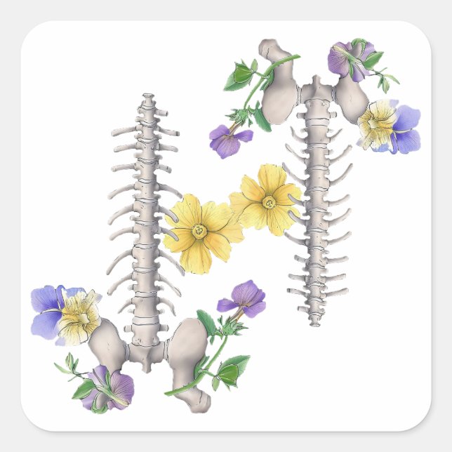 Pegatina Cuadrada Anatomía floral - Vértebras, hueso de la cadera (Anverso)