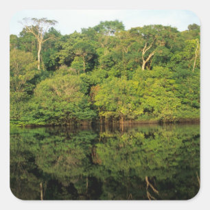 Pegatina Cuadrada Anavilhanas, Amazonas, Brasil. Río de selva tropic