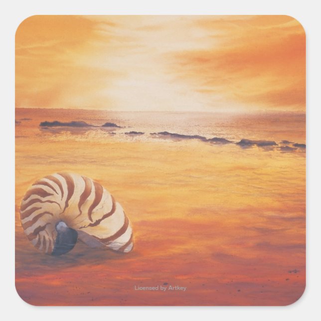 Pegatina Cuadrada Anclaje (Anverso)