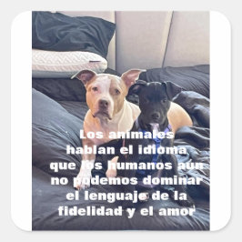 Pegatina Cuadrada animal
