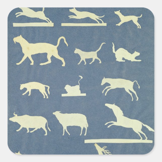 Pegatina Cuadrada Animales (Anverso)